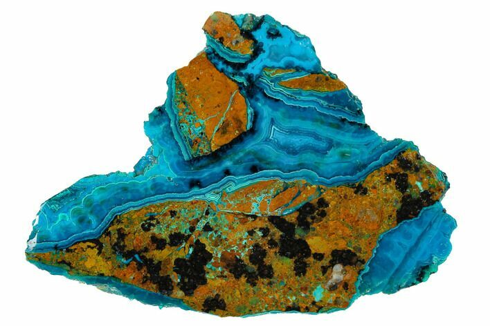 Polished Banded Chrysocolla - Bagdad Mine, Arizona #146483